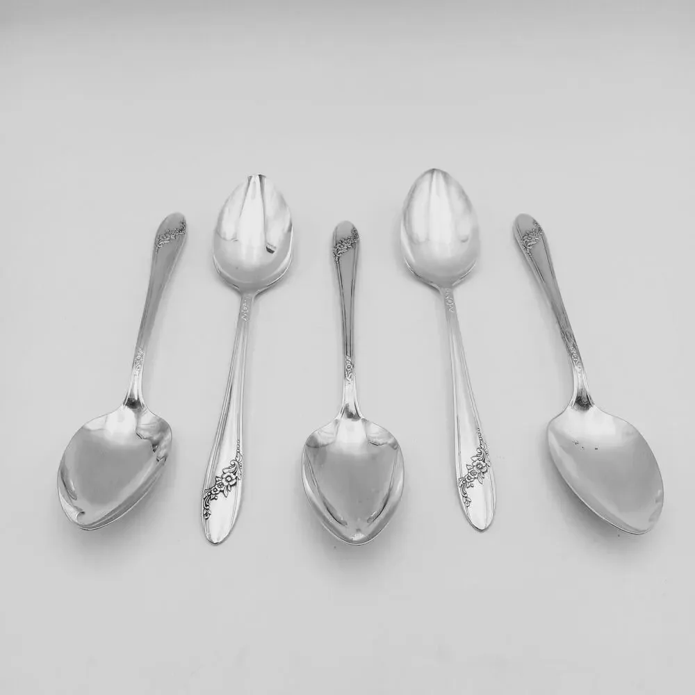 5 pc Oneida Community Queen Bess II SERVING Spoon 8.25